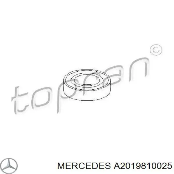 A2019810025 Mercedes підвісний підшипник карданного валу