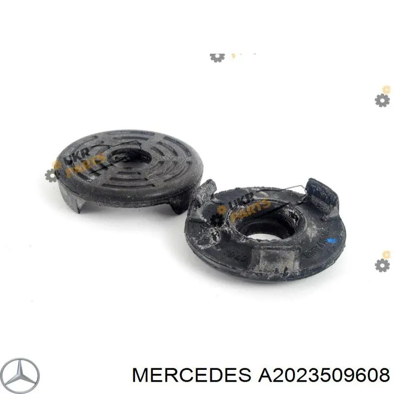  A2023509608 Mercedes