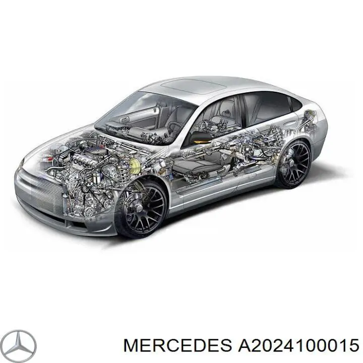 A2024100015 Mercedes Карданний шарнір