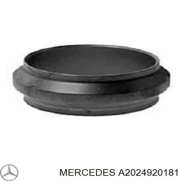 A2024920181 Mercedes прокладка монтажна, глушника