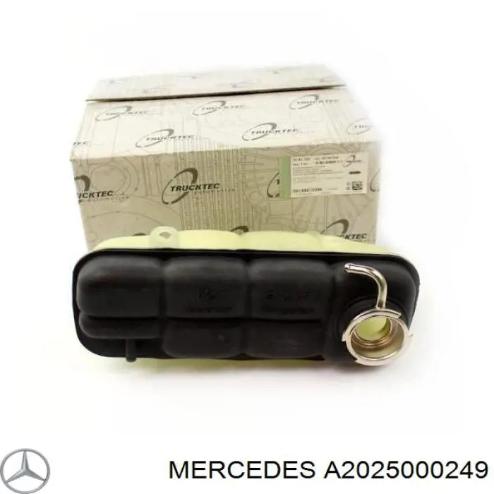 A2025000249 Mercedes бачок системи охолодження, розширювальний