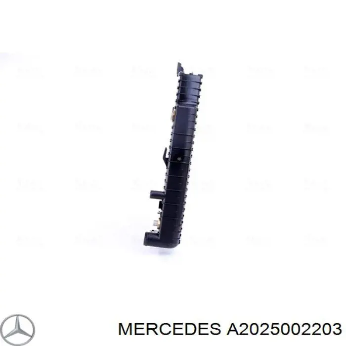 A2025002203 Mercedes Радіатор охолодження двигуна