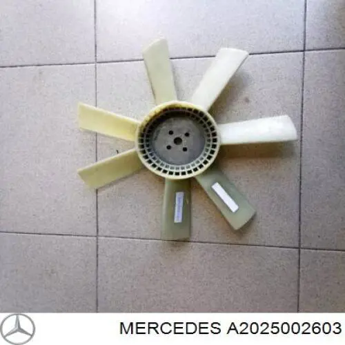 A2025002603 Mercedes Радіатор охолодження двигуна