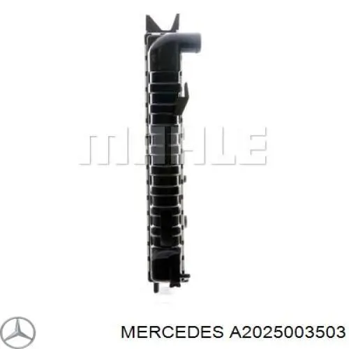 A2025003503 Mercedes Радіатор охолодження двигуна