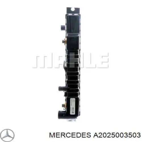 Купити A2025003503 Mercedes Радіатор двигуна