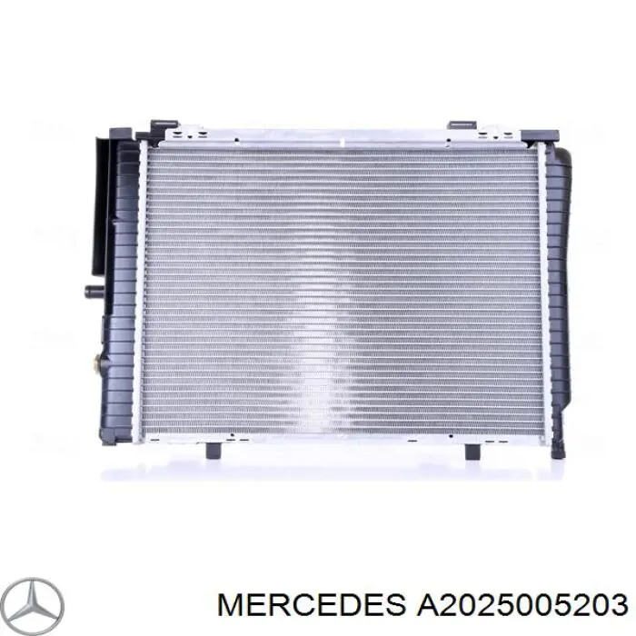 A2025005203 Mercedes радіатор охолодження двигуна