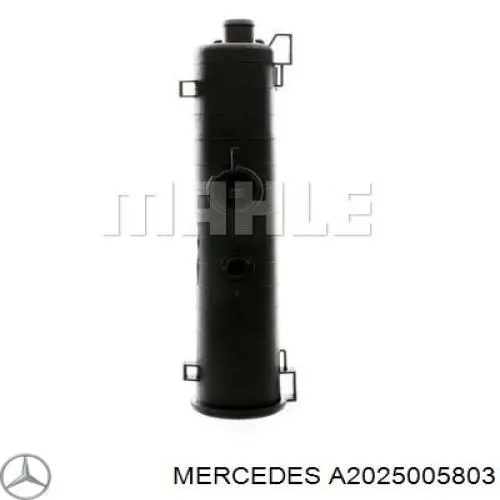 Купити A2025005803 Mercedes Радіатор двигуна