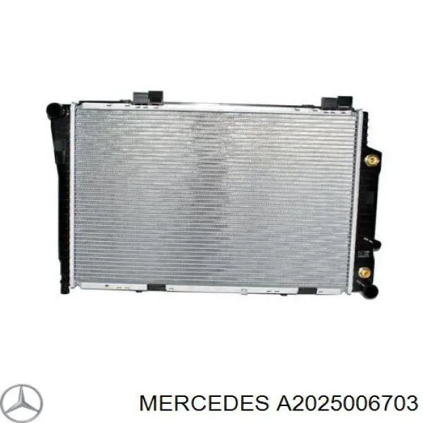 A2025006703 Mercedes радіатор охолодження двигуна