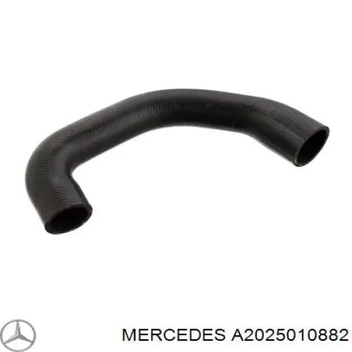 A2025010882 Mercedes Шланги системи охолодження