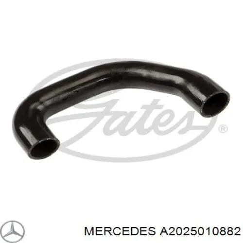 Купити A2025010882 Mercedes Шланг/патрубок радіатора охолодження, верхній