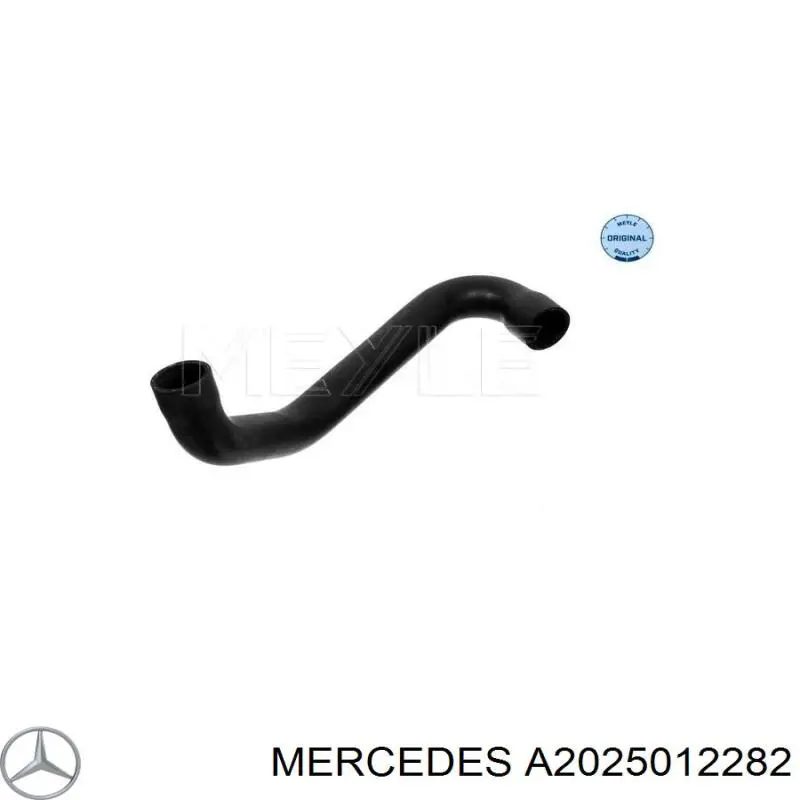 A2025012282 Mercedes шланг/патрубок радіатора охолодження, нижній