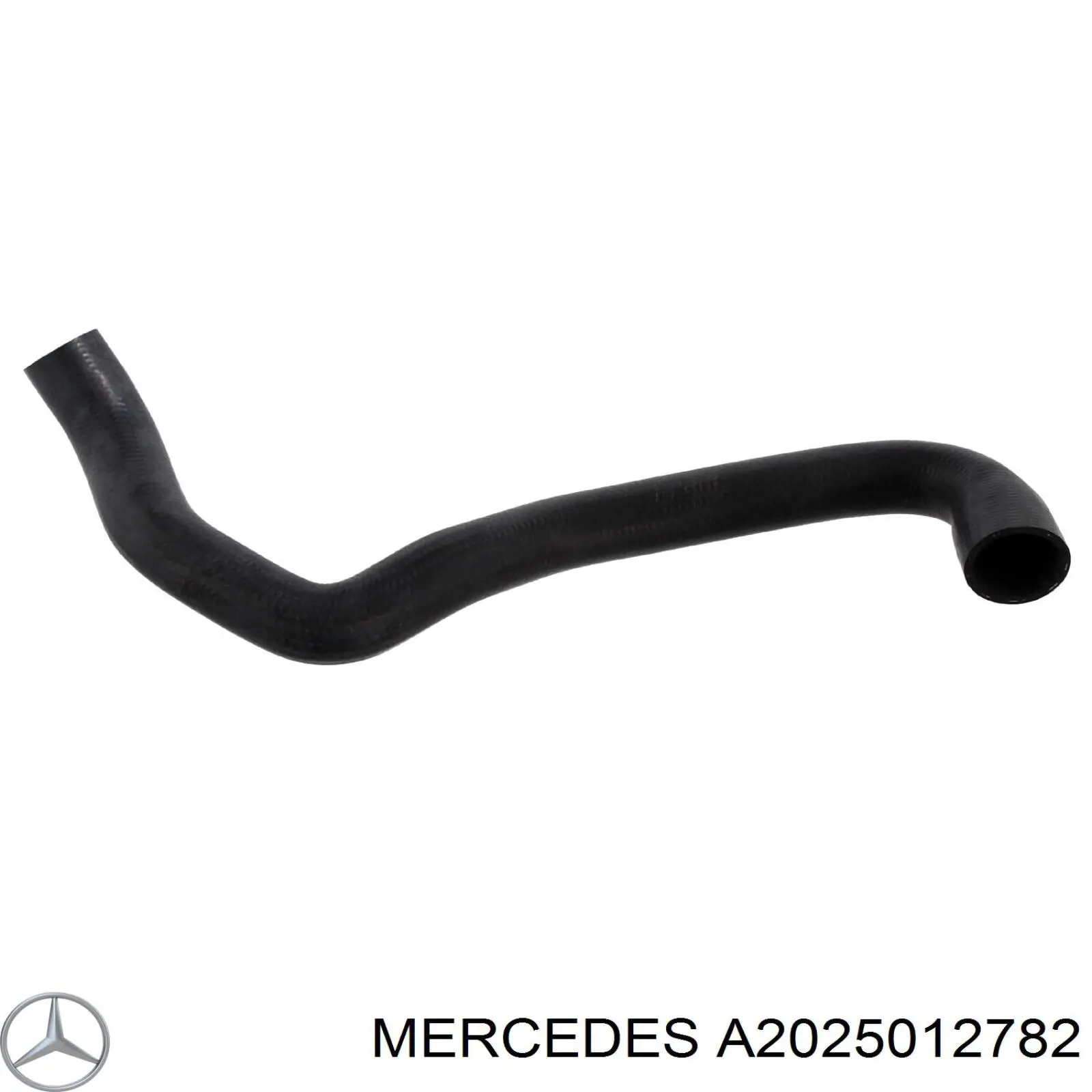 A2025012782 Mercedes шланг/патрубок радіатора охолодження, нижній
