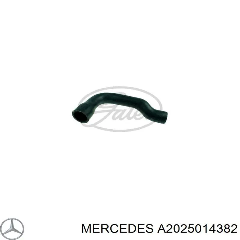 A2025014382 Mercedes шланг/патрубок радіатора охолодження, нижній