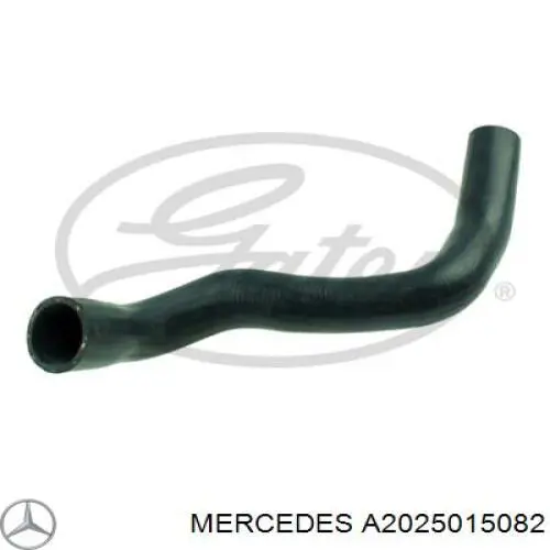 Купити A2025015082 Mercedes Шланг/патрубок радіатора охолодження, нижній