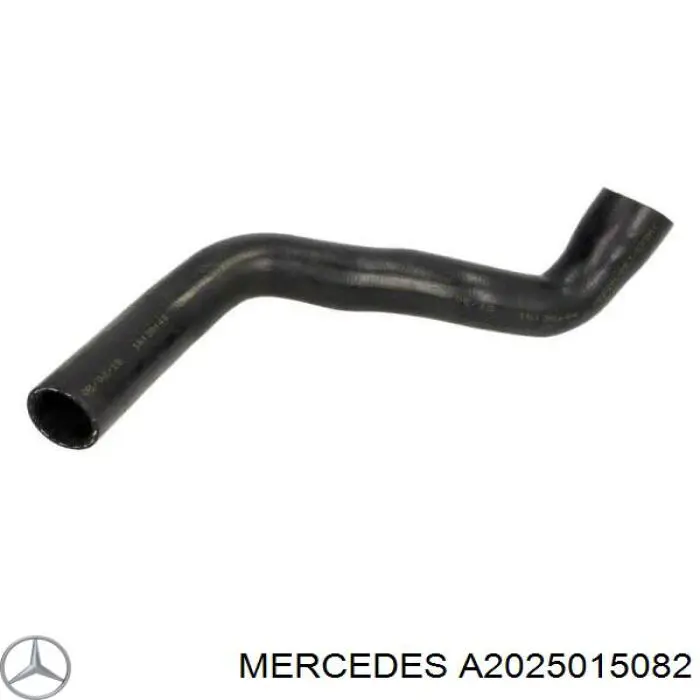A2025015082 Mercedes шланг/патрубок радіатора охолодження, нижній