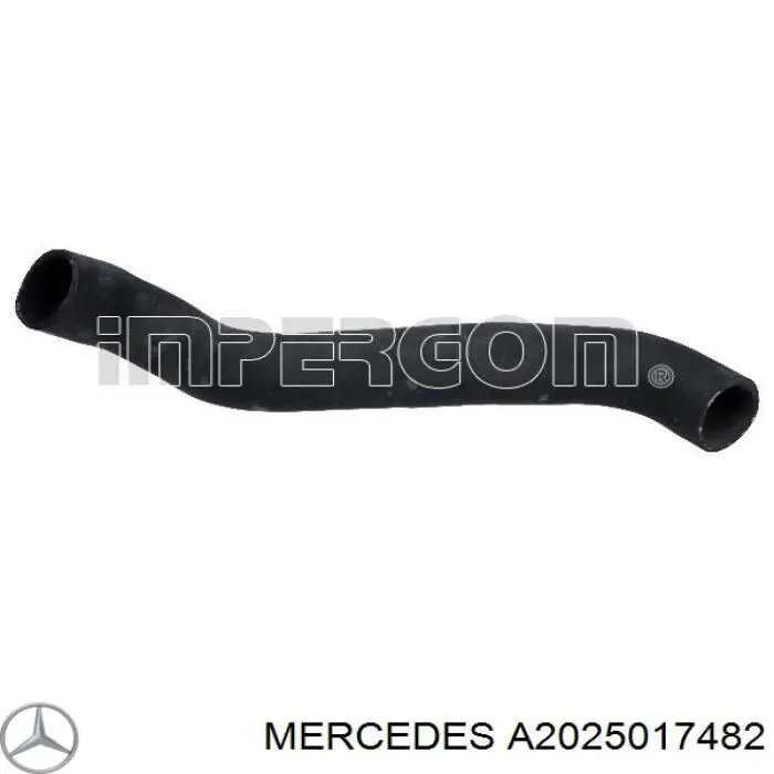 A2025017482 Mercedes шланг/патрубок радіатора охолодження, нижній