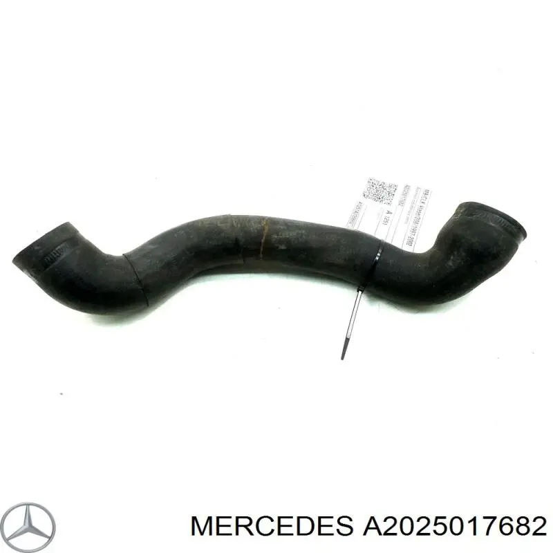 A2025017682 Mercedes шланг/патрубок радіатора охолодження, нижній