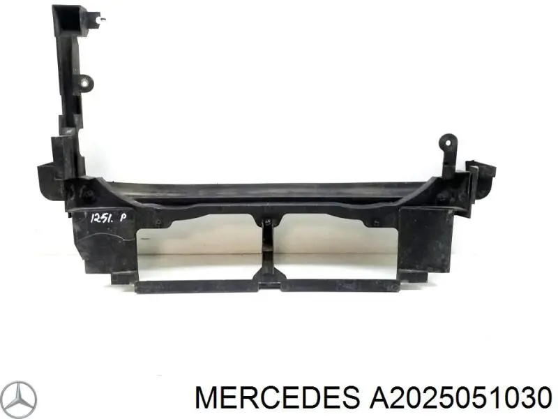 A2025051030 Mercedes 