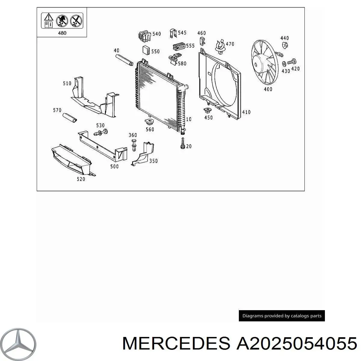 A2025054055 Mercedes дифузор (кожух радіатора охолодження)