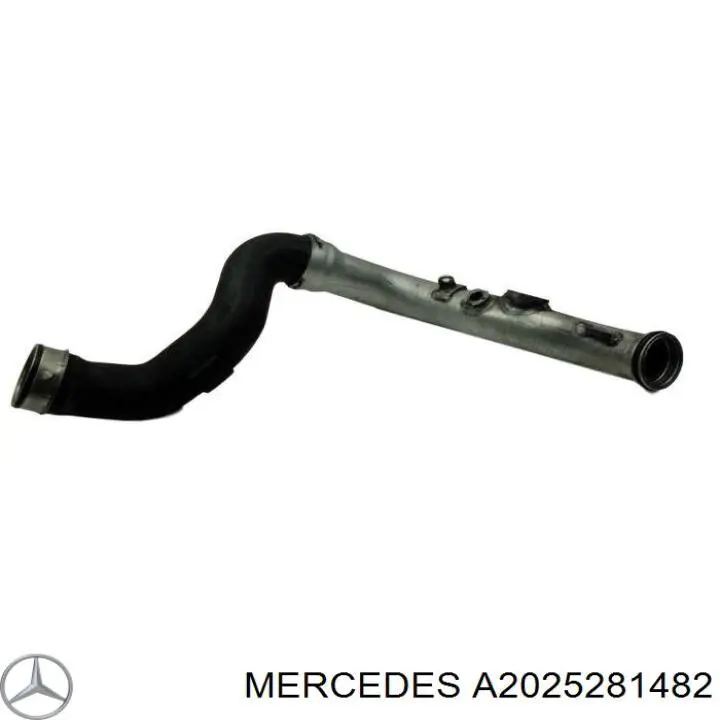Купити A2025281482 Mercedes Шланг/патрубок интеркуллера