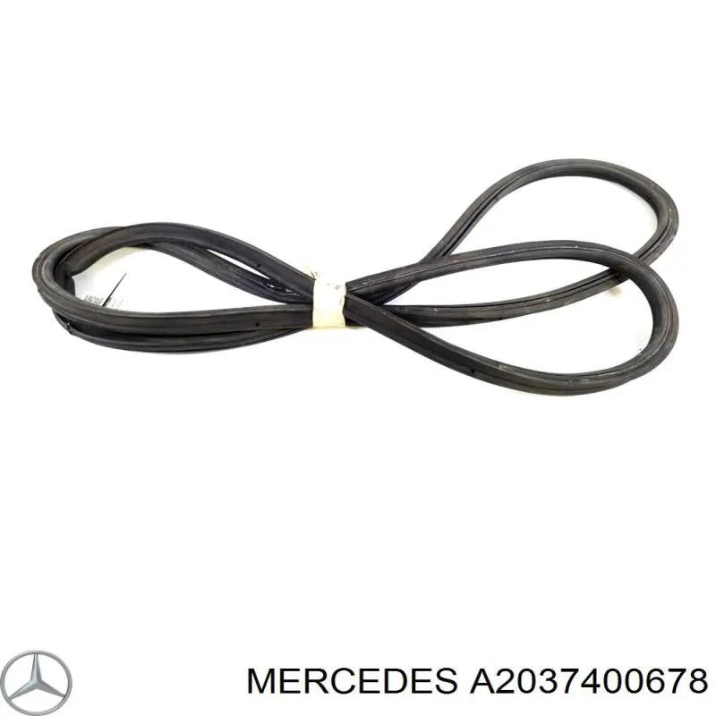 A2037400678 Mercedes Ущільнювач задніх 3/5-х дверей