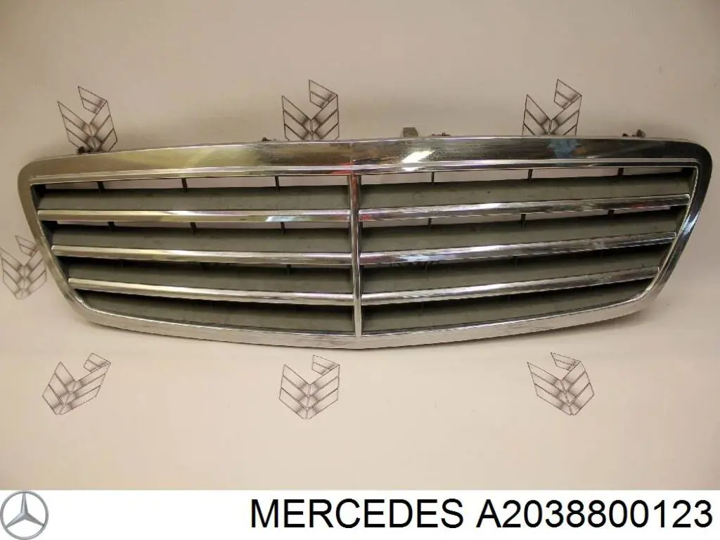 Купити A2038800123 Mercedes Захисна решітка радіатора