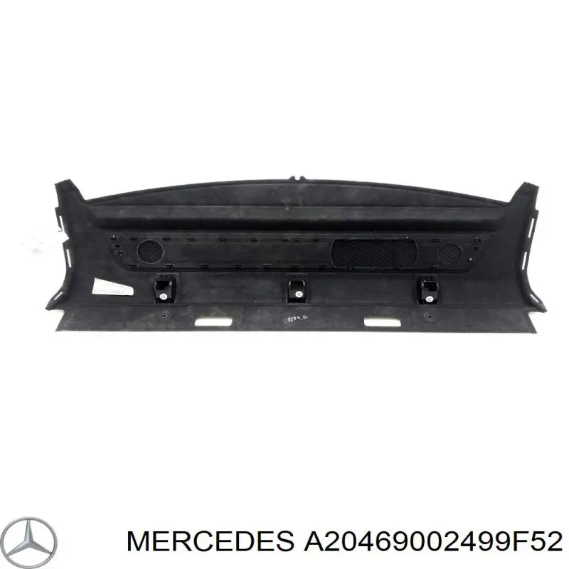 A20469002499F52 Mercedes Полку салону, задня