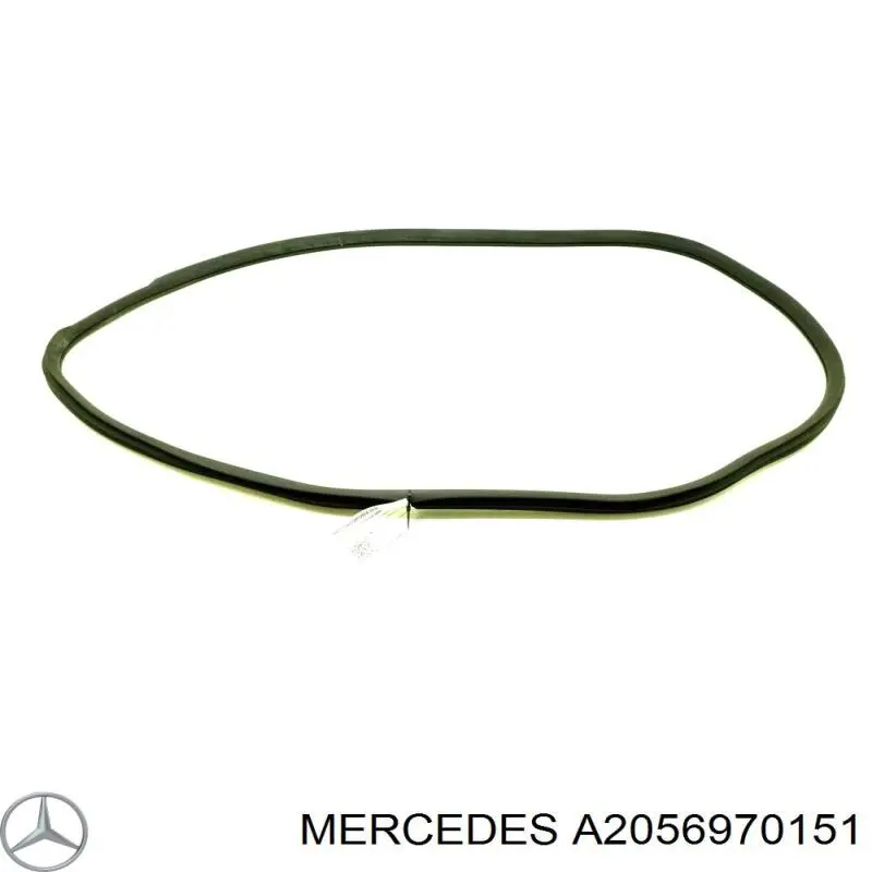 A2056970151 Mercedes 