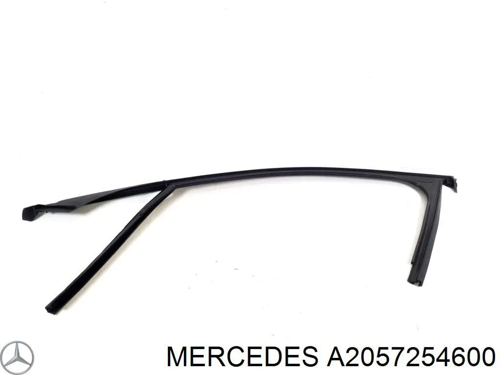 A2057254600 Mercedes Направляюча скла рамки двері, передньої правої