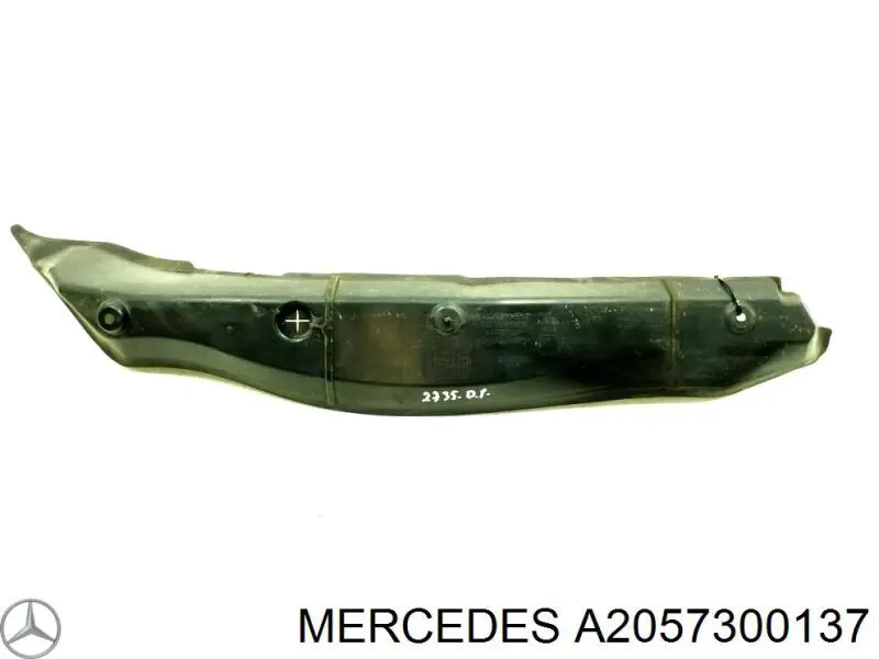 Купити A2057300137 Mercedes Завіса дверей задніх лівих