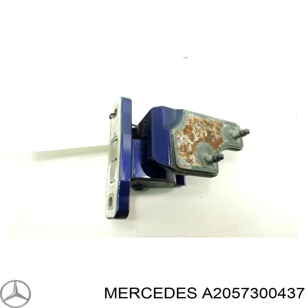 A2057300437 Mercedes Петля заднтої двері, правої