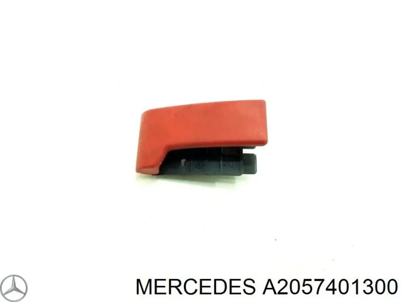 Купити A2057401300 Mercedes Завіса задніх дверей, ляди