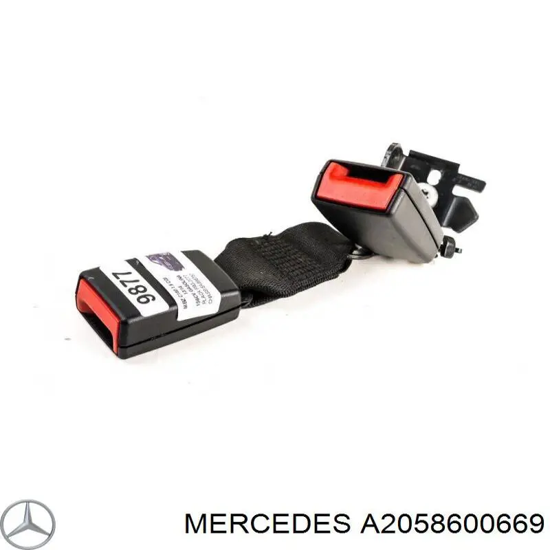 A2058600669 Mercedes 