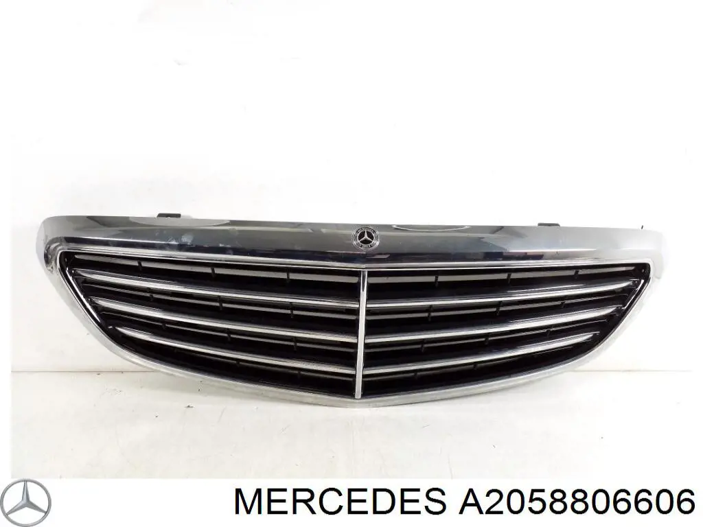 Купити A2058806606 Mercedes Захисна решітка радіатора