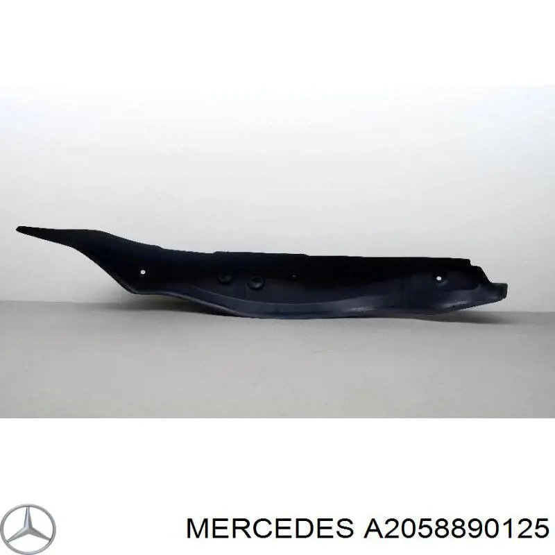 Купити A2058890125 Mercedes 