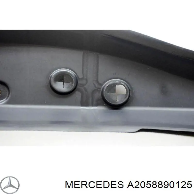  A2058890125 Mercedes