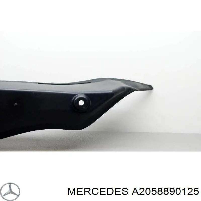  Mercedes A2058890125
