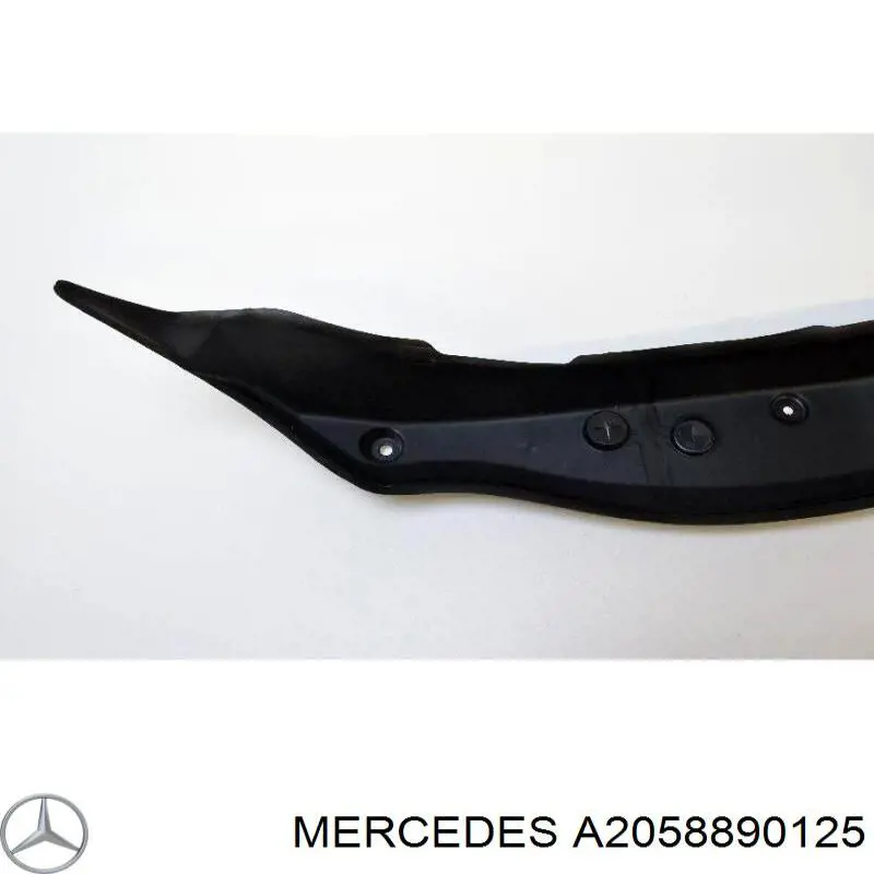  A2058890125 Mercedes