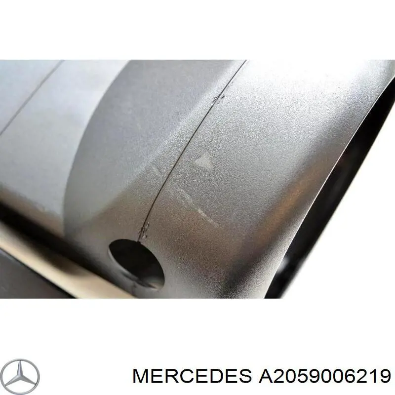  Mercedes A2059006219