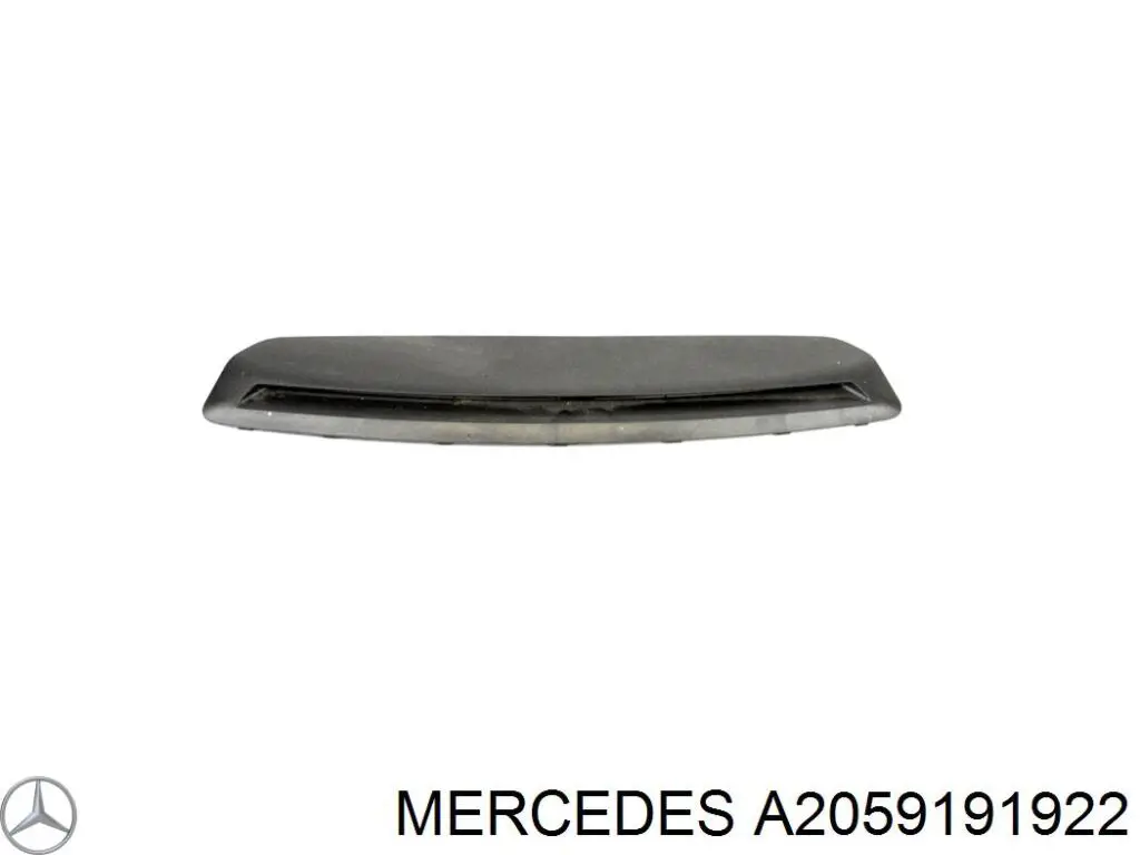 A2059191922 Mercedes 