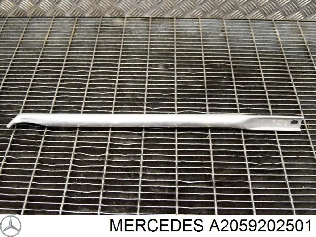  A2059202501 Mercedes
