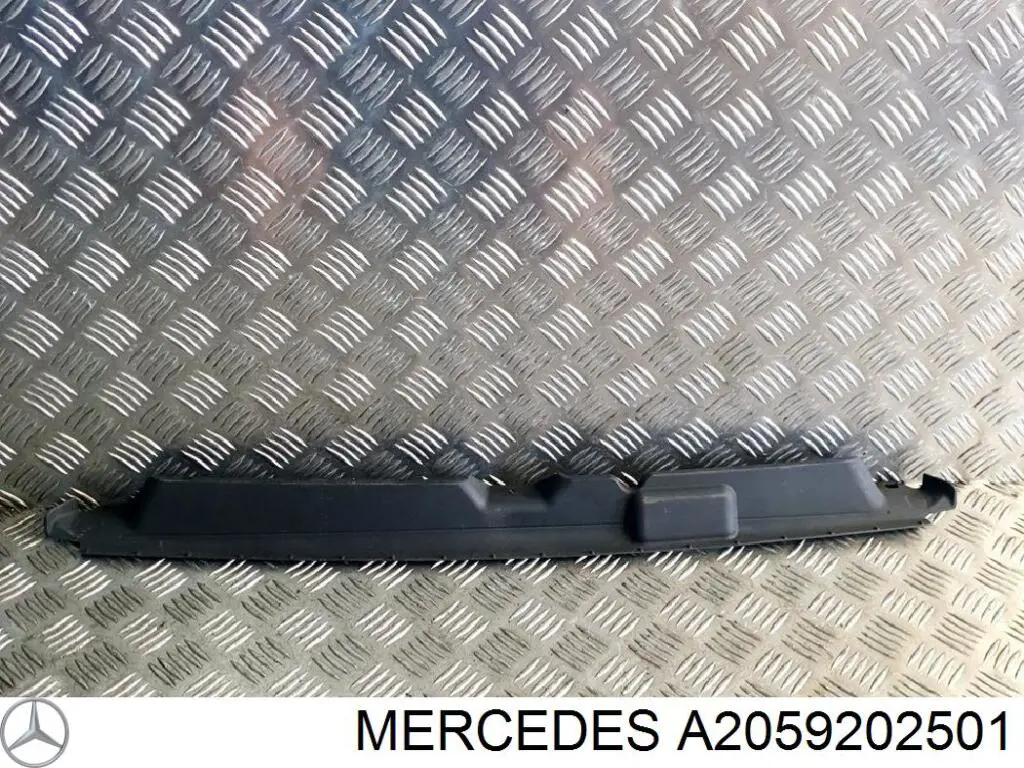 A2059202501 Mercedes 