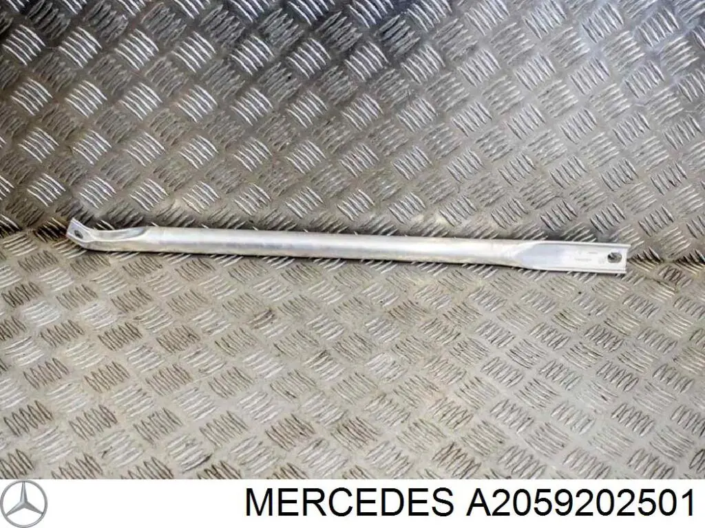 Купити A2059202501 Mercedes 