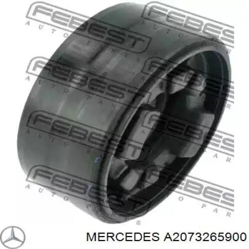  2073265900 Mercedes