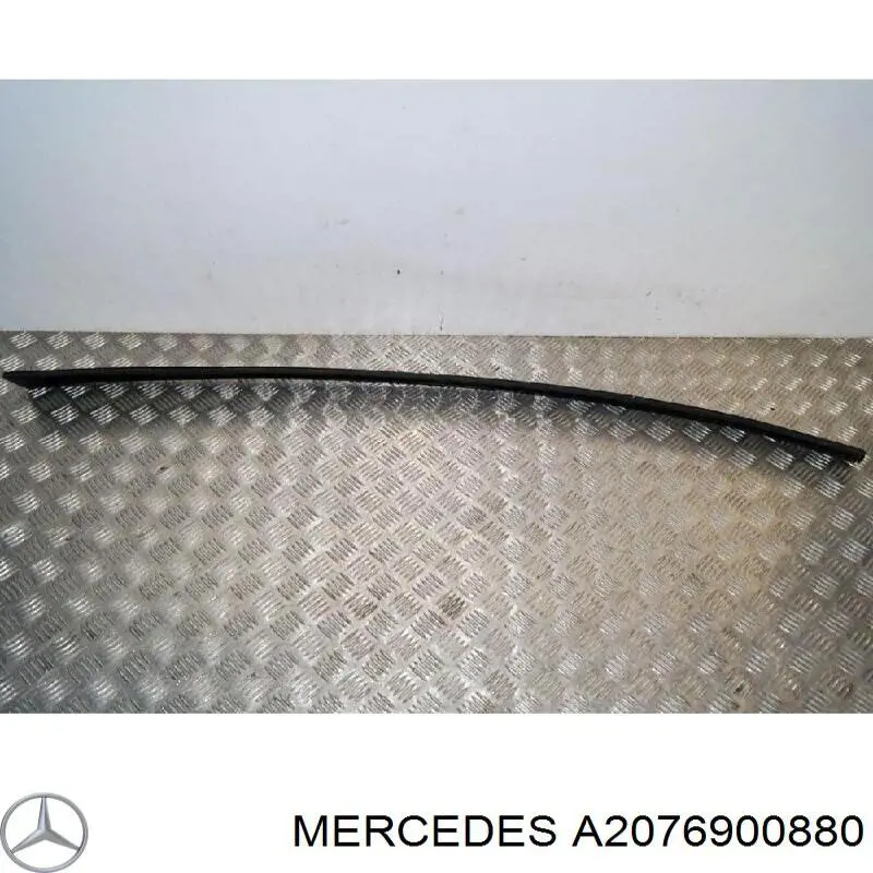 A2076900880 Mercedes 