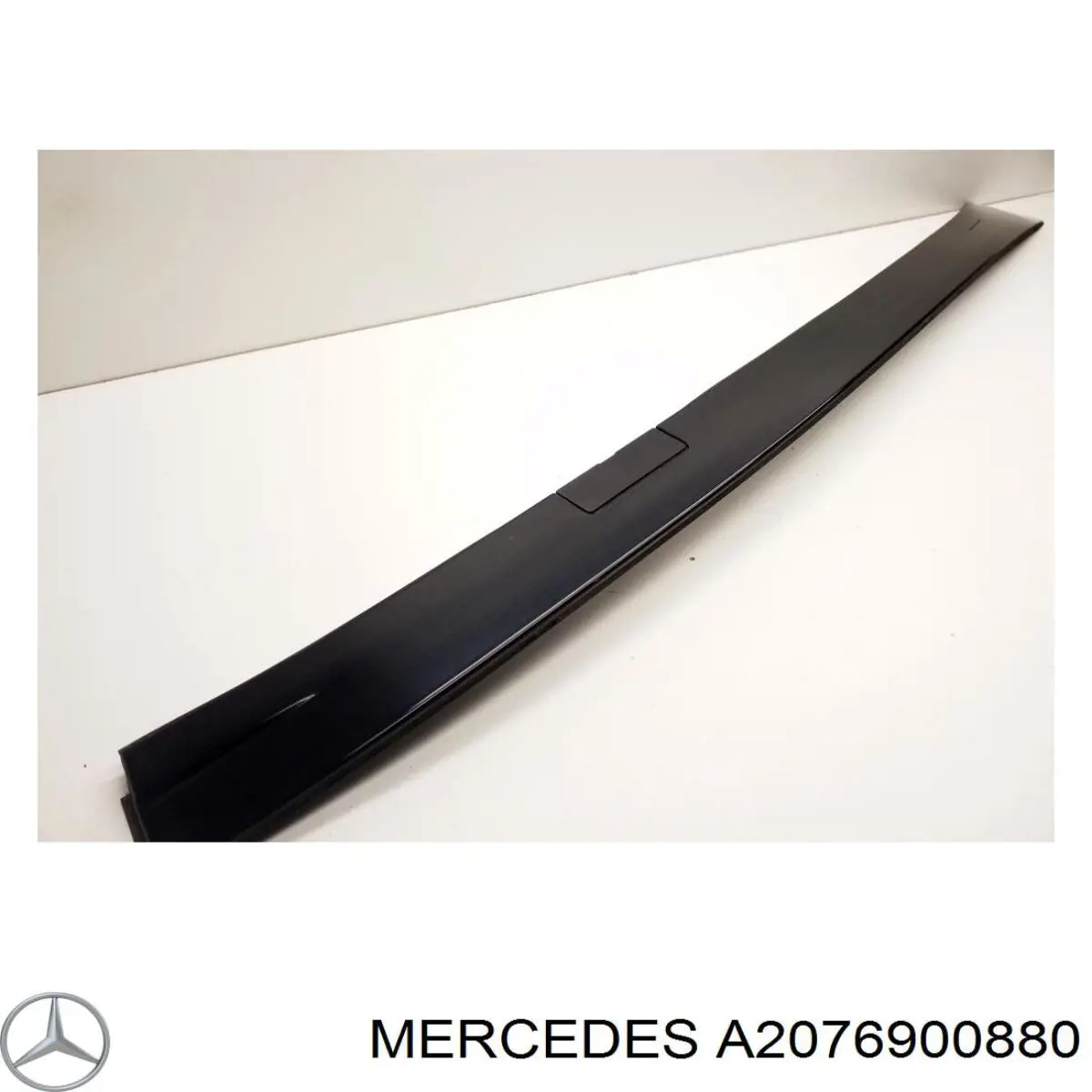 A2076900880 Mercedes 