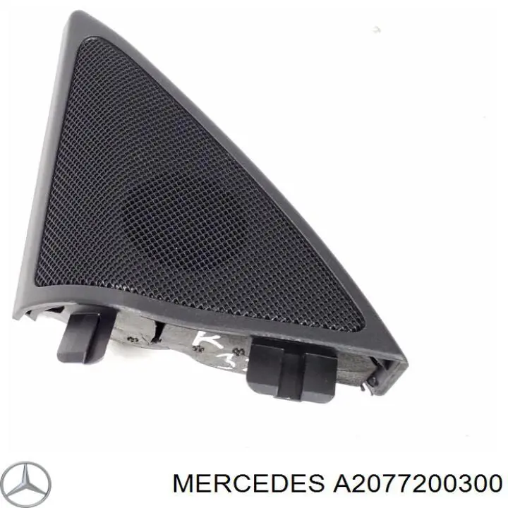 Купити A2077200300 Mercedes 