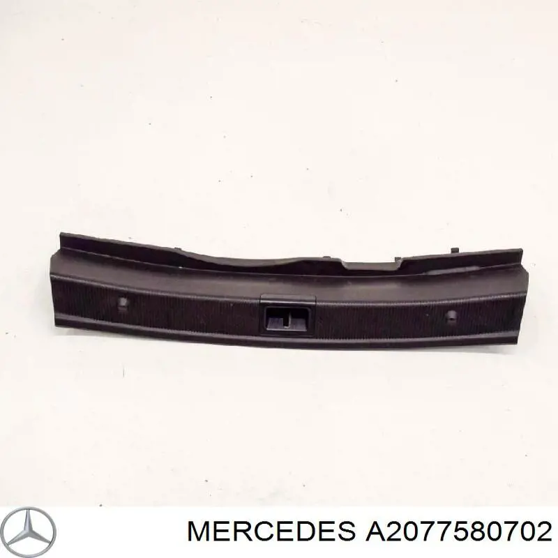  Mercedes A2077580702