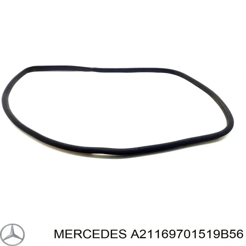 A21169701519B56 Mercedes 