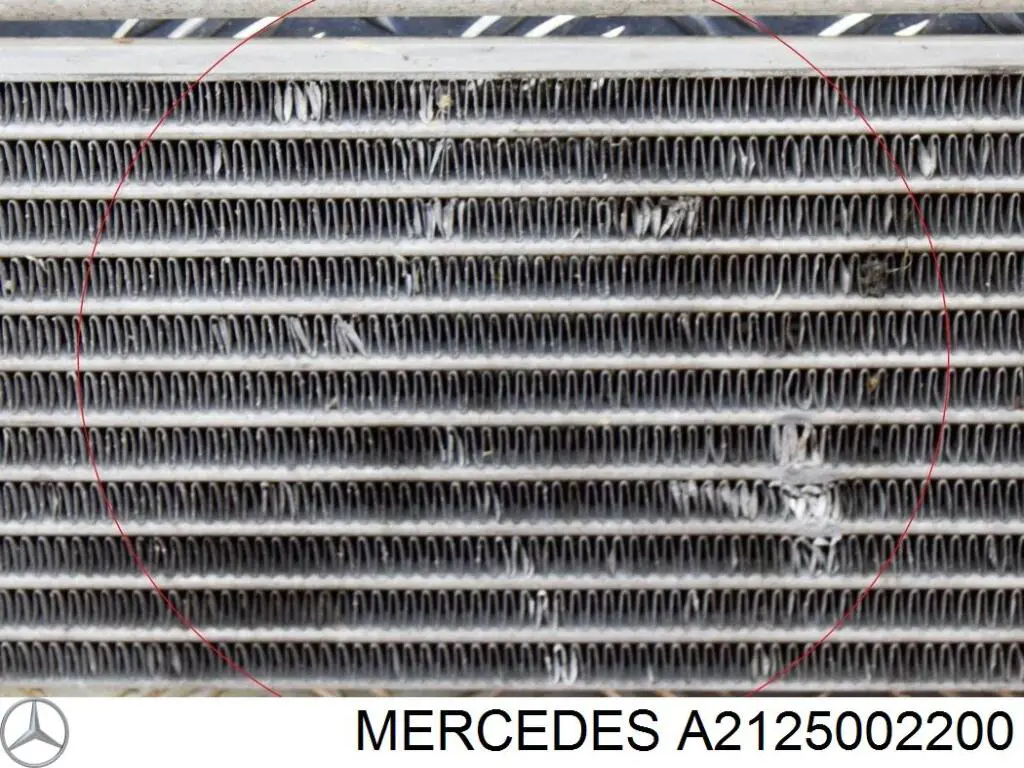  Polcar 5018L83